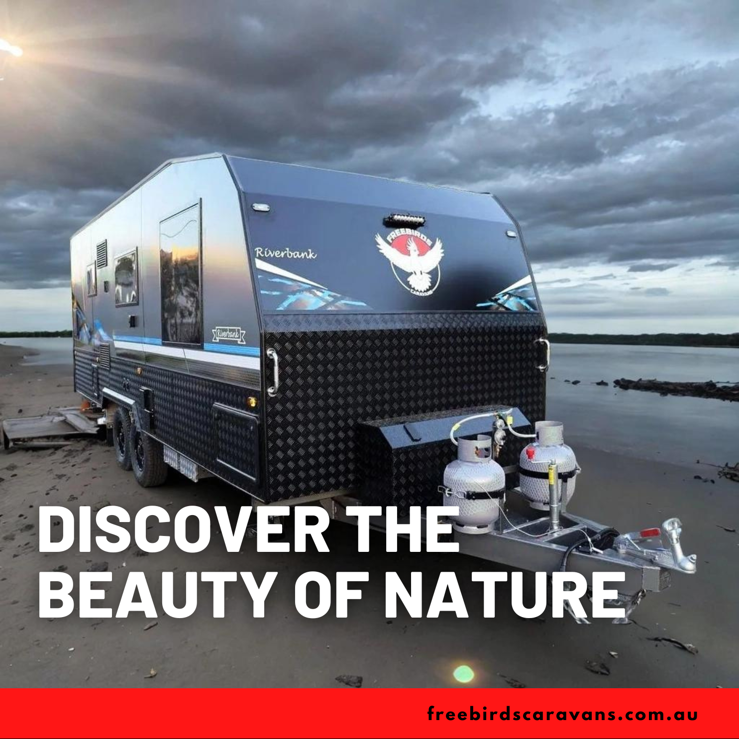 Free Birds Caravans